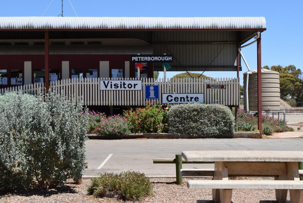 Roundhouse Motel Peterborough Zewnętrze zdjęcie